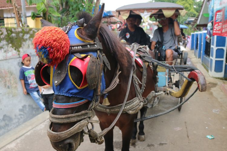 Delman sebagai alat transportasi yang masih dilestarikan di Kuningan. Salah satunya ada di Kecamatan Cigugur.