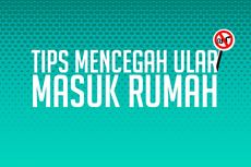 INFOGRAFIK: Tips Mencegah Ular Masuk Rumah