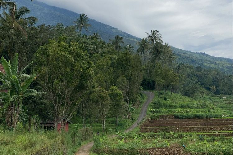 Pemandangan jalur kecil yang akan dilintasi wisatawan saat trekking menuju Pos Cibunar di kaki Gunung Ciremai, Desa Linggarjati, Kecamatan Cilimus, Kabupaten Kuningan, Jawa Barat, Sabtu (3/4/2021).