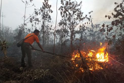 BNPB Kirim 2 Helikopter ke Lokasi Kebakaran Hutan di Riau