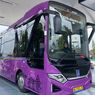 Rute dan Jadwal Bus Listrik Trans Jogja, Gratis Selama Masa Uji Coba 