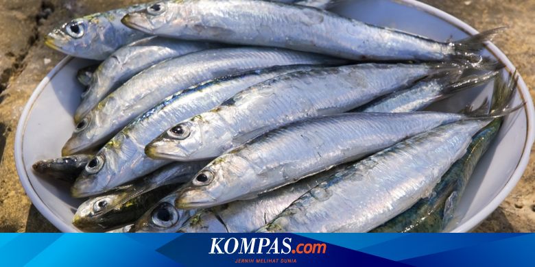Ikan Sardin Bisa Jadi Sumber Omega 3