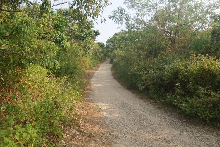 Trek ini menjadi salah satu rute yan akan dilewati oleh para peserta Rhino X-Tri di Tanjung Lesung, Pandeglang, Banten.