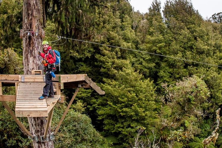 Penyangga yang dipasang di pohon, tempat para peserta Rotarua Canopy Tour melihat-lihat hutan alami di Rotarua, Selandia Baru. 