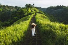 Ubud Masuk 10 Kota Terfavorit di Dunia Versi Travel and Leisure