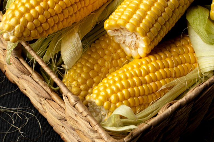 Ilustrasi, jagung berbonggol besar