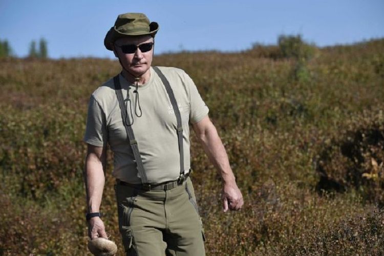 Dalam foto yang dirilis Kremlin, terlihat Presiden Vladimir Putin mengenakan pakaian khaki dan topi ketika menyusuri hutan di Region Tuva, Siberia.