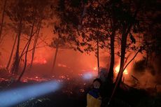  Jelang Musim Kemarau, BMKG: Waspadai Potensi Karhutla untuk Wilayah Selatan Indonesia