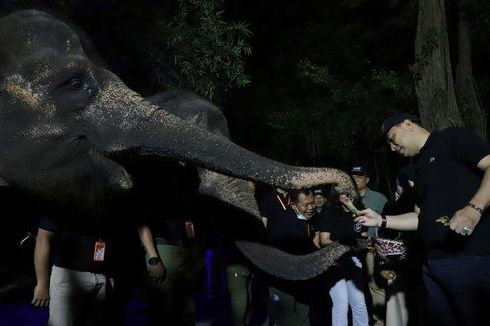 Surabaya Night Zoo Akan Dibuka 25 Juni 2023, Ini Harga Tiketnya