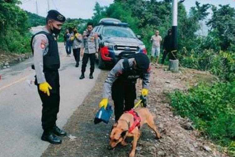 Foto//Suasana Pencarian Jejak dokter Faisal Oleh Tim Melibatkan Anjing Pelacak 