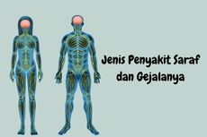 Jenis Penyakit Saraf dan Gejalanya