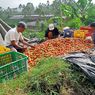 Dosen Pertanian Unpad: Harga Jual Sayur di Kabupaten Bandung Anjlok karena Minimnya Pengembangan Manajemen Pertanian