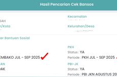 Perayaan Natal Unik di Dunia, dari Baca Buku hingga Rayakan Laba-laba