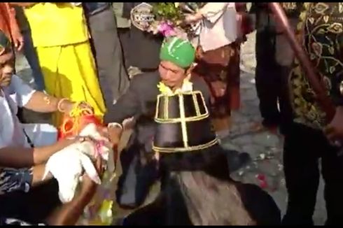 Cerita di Balik Pria Nikahi Domba, Videonya Bikin Heboh, MUI Gresik Sampai Bereaksi