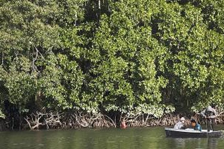 Hutan bakau yang dikelola swadaya oleh masyarakat di Kecamatan Balikpapan Utara, Kota Balikpapan, Kalimantan Timur. Selain pusat konservasi, hutan bakau seluas lebih kurang 150 hektar tersebut merupakan habitat bagi bekantan dan menjadi tujuan wisata alam.