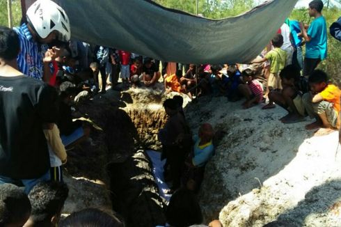 Warga Kabupaten TTS Hadiri Proses Adat Penguburan Buaya 