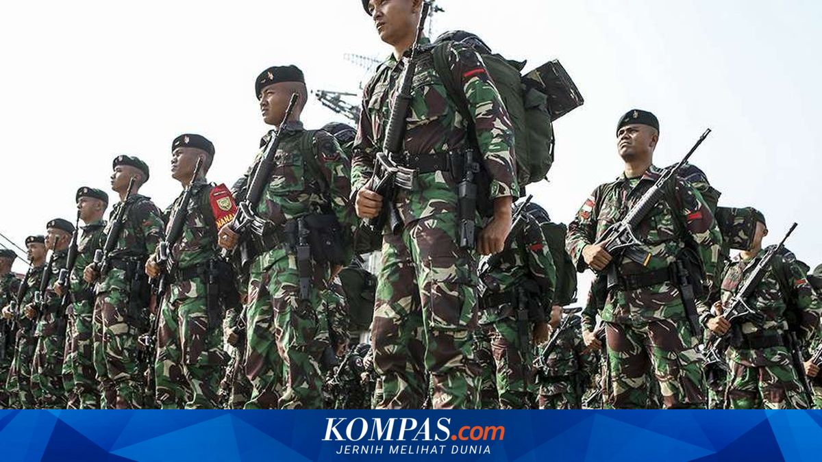 Negara Lain Hanya Kirim Ratusan Prajurit ke Gaza, Indonesia Urung Kerahkan 20.000 Orang