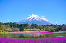 Gunung Fuji Batal Punya KA, Jepang Lebih Pilih Trem Tanpa Rel