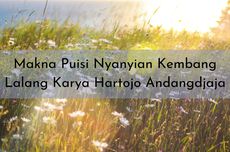 Makna Puisi Nyanyian Kembang Lalang Karya Hartojo Andangdjaja