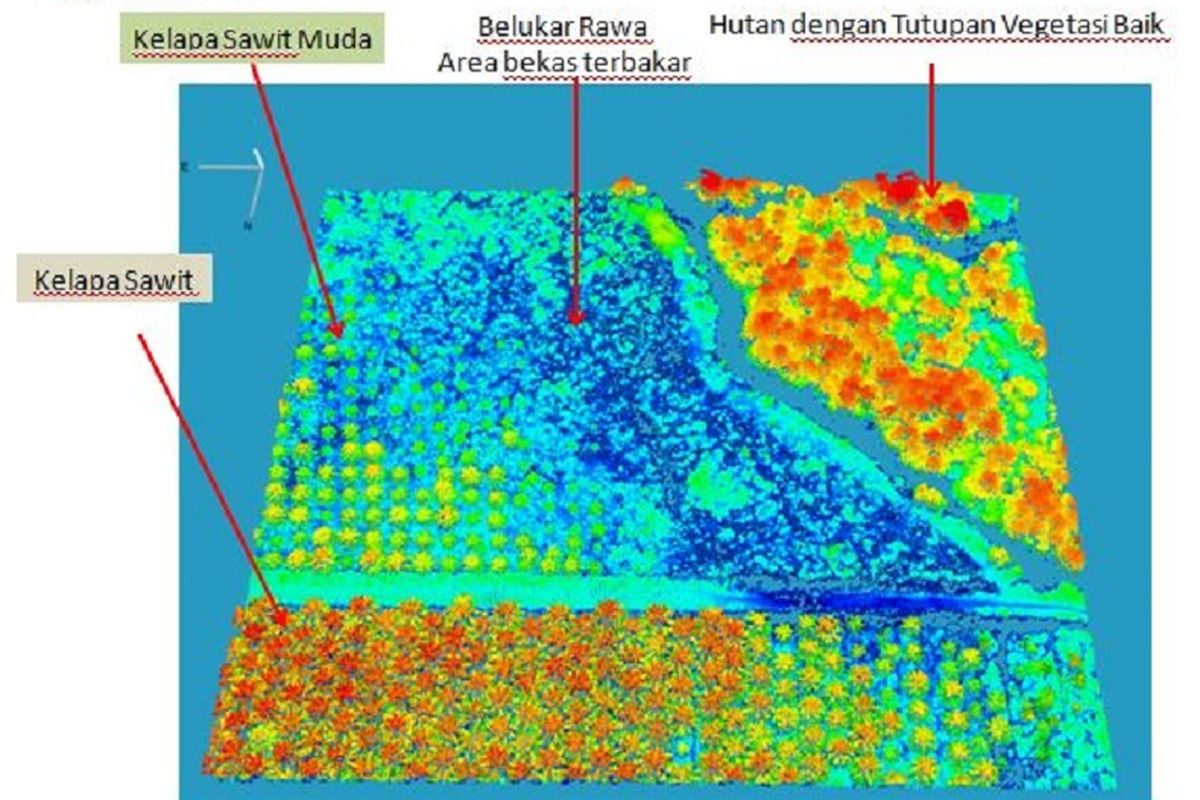 Contoh hasil pemetaan lahan gambut dengan teknologi LiDAR dengan skala 1:2.500