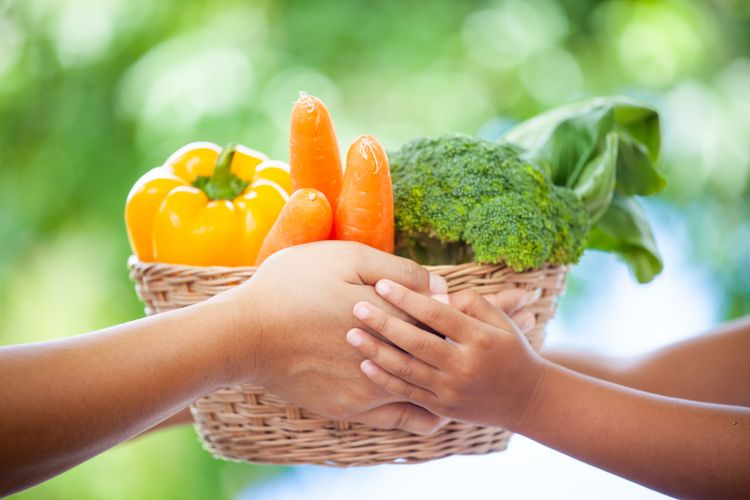 Rutin makan sayur bisa mengurangi risiko penyakit kronis dan juga depresi.