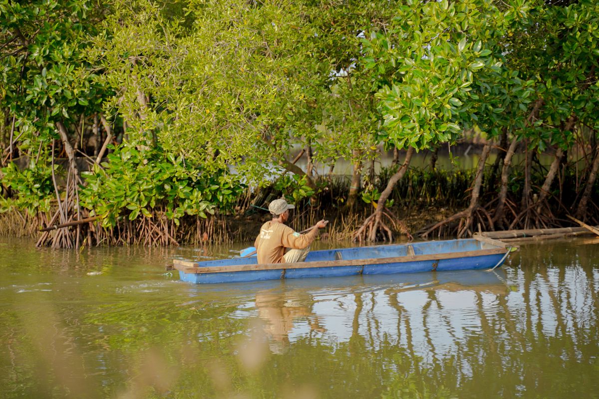 Seorang warga Mangkang Wetan sedang beraktivitas di perairan sekitar hutan mangrove. Ekosistem mangrove di kawasan ini tidak hanya berfungsi sebagai pelindung dari abrasi, tetapi juga menjadi sumber penghidupan bagi masyarakat setempat.  