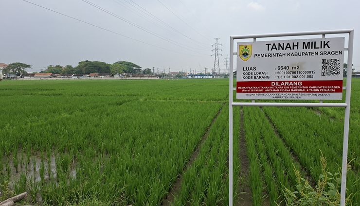Pemerintah Tegaskan Komitmen Dekarbonisasi dan Penghentian Deforestasi Pertanian