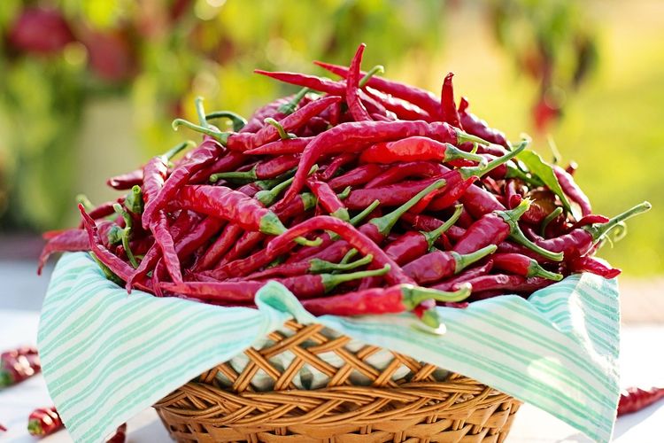 Ilustrasi cabai merah. Terdapat beberapa kelompok orang yang dilarang makan cabai