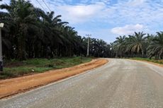 29,84 Kilometer Jalan Daerah di Sumbar Diperbaiki, Progresnya 51 Persen