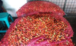 Uniknya Lima Jenis Cabai Khas Sumatera Selatan