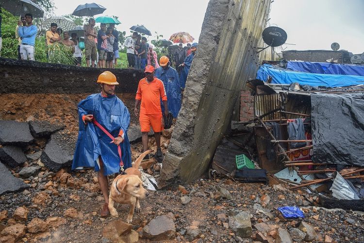 Petugas penyelamat yang membawa anjing pelacak memeriksa lokasi runtuhnya dinding di Mumbai, Selasa (2/7/2019).