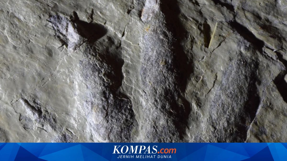 Jejak Fosil di Italia Ungkap Dinosaurus Dominasi Bumi Sejak 230 Juta Tahun Lalu