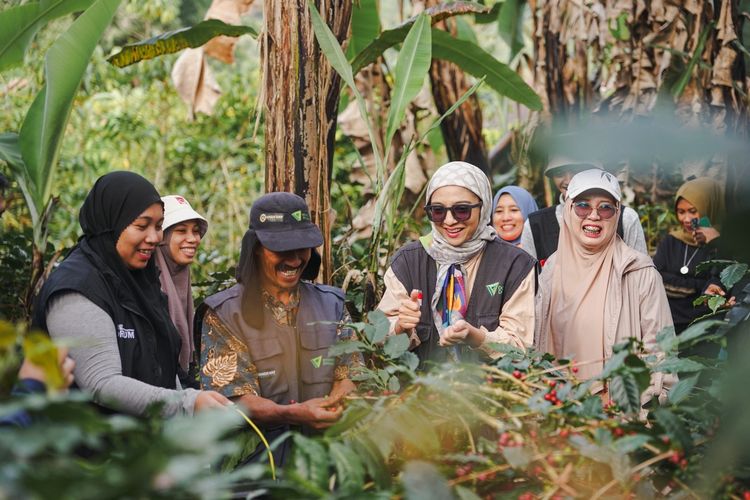 Dompet Dhuafa menyelenggarakan Hulu Trip Pemberdayaan Kopi dengan mengunjungi program pemberdayaan Kopi Kahayya di Bulukumba, Sulawesi Selatan, pada 30 Agustus sampai dengan 1 September 2024.
