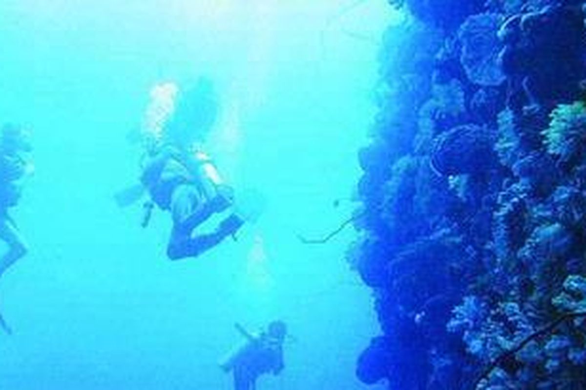 Penyelam melayang di kedalaman laut di sekitar Pulau Bunaken di kawasan Taman Nasional Bunaken di Manado, Sulawesi Utara. Indonesia memiliki banyak titik penyelaman yang eksotis bagi pencinta kedalaman.