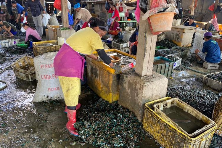 Para pengupas kerang hijau di Kampung Nelayan Cilincing, Jakarta Utara mengais rezeki di pusat pengupasan kerang yang tak jauh dari pesisir. Mereka bisa mendapatkan bayaran hingga Rp 60.000 bila banyak kerang hijau yang dibawa oleh nelayan. 