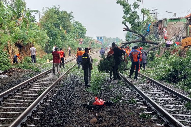 Sejumlah petugas BPBD mengevakuasi material pohon tumbang yang menutup rel kereta api di Kota Cimahi, Jawa Barat, Rabu (25/10/2023).