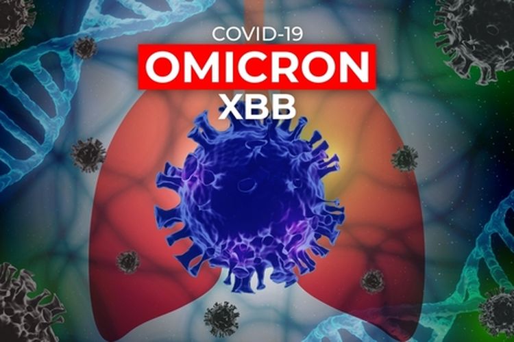 Ilustrasi Omicron XBB.