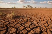 Musim Kemarau di Indonesia Diprediksi Lebih Cepat dan Lebih Kering