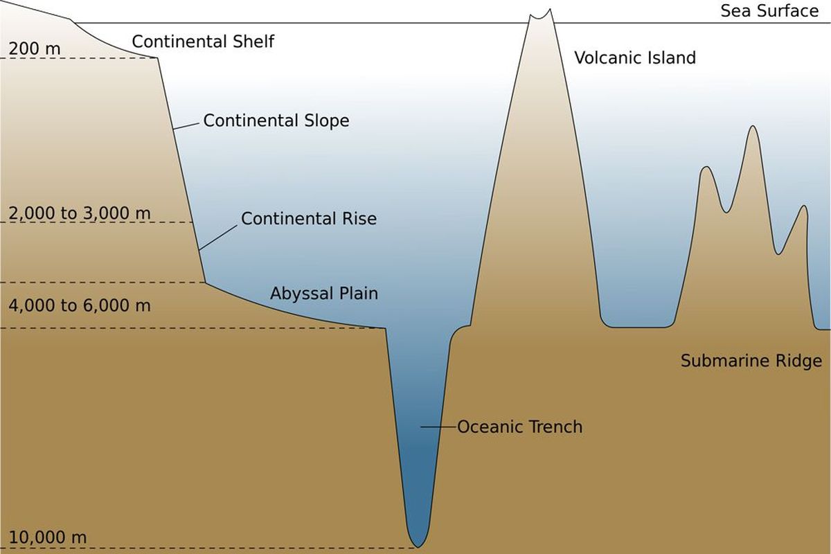 Relief dasar laut