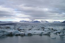 Tundra di Siberia Terancam Hilang Pertengahan Milenium Ini