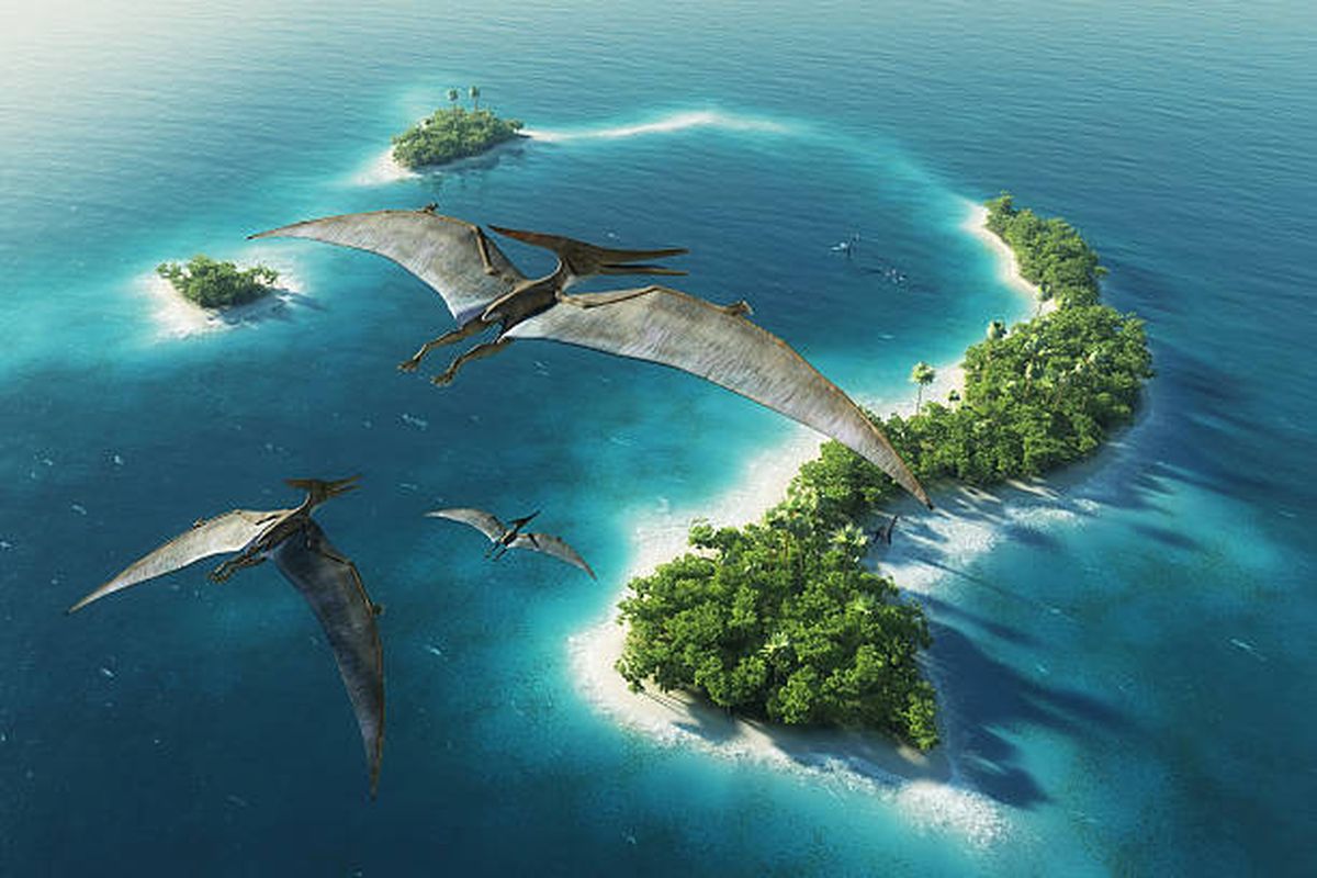 Ilustrasi Pterosaurus, reptil bersayap yang hidup jutaan tahun lalu