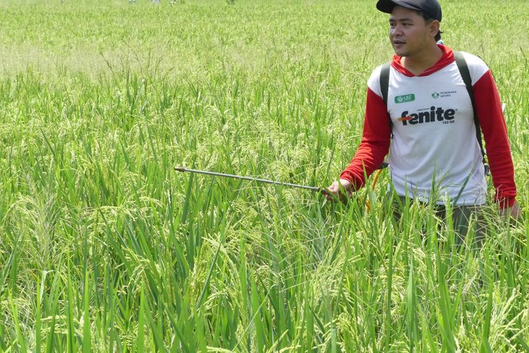 KBJI 2026: Pulang ke Desa Membawa Jabatan