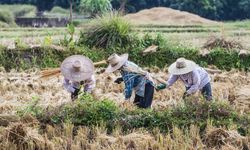 Tergolong Keluarga Miskin, Ini Harapan Petani kepada Pemerintah