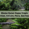 Bioma Hutan Hujan Tropis: Pengertian dan Ciri-cirinya