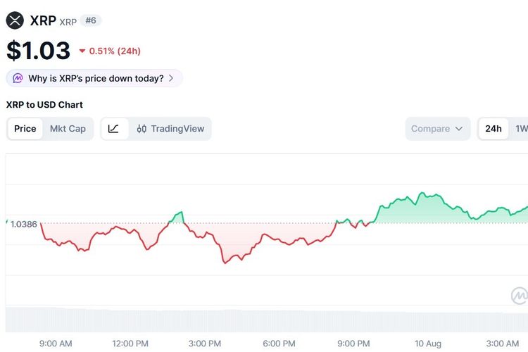 Harga XRP Hari Ini 10 Agustus 2026 Merah Terus Menerus