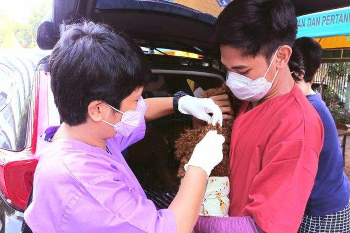Suku Dinas Ketahanan Pangan Kelautan dan Pertanian atau Sudin KPKP Jakarta Pusat melaksanakan vaksinasi rabies untuk hewan. Kegiatan vaksinasi dilakukan di Kantor Sudin KPKP Jakpus di Jalan Gunung Sahari. 