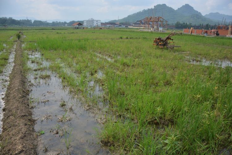 Pemerintah Kabupaten Trenggalek akan membuat regulasi baru mengenai RDTRK yang dituangkan dalam peraturan daerah