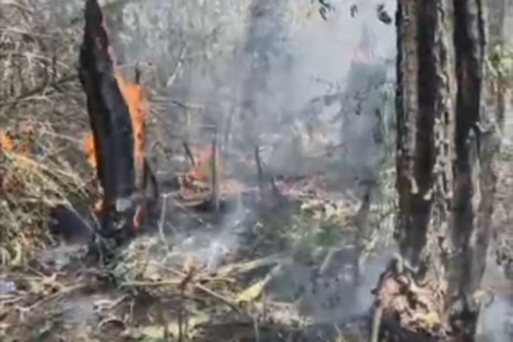 Kebakaran Gunung Lawu Diduga Disebabkan oleh Perburuan Liar