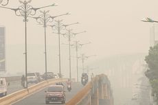 Riau Dikepung Kabut Asap, Greenpeace Nilai Situasi Mirip Karhutla 2015
