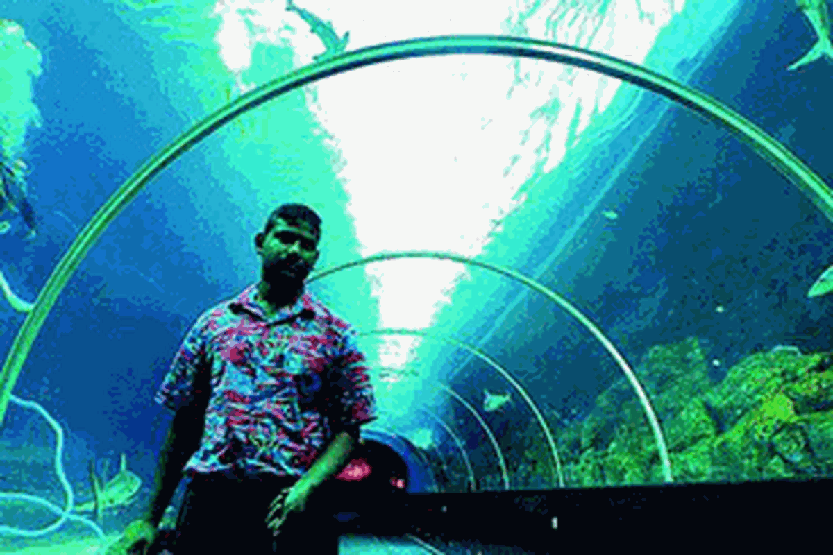 Suasana terowongan kaca raksasa yang berisi aneka jenis hiu di SEA Aquarium, Singapura, pada 7 Desember 2012. SEA Aquarium merupakan akuarium terbesar di dunia berisi 45 juta liter air yang dihuni ratusan biota laut dari 800 spesies.